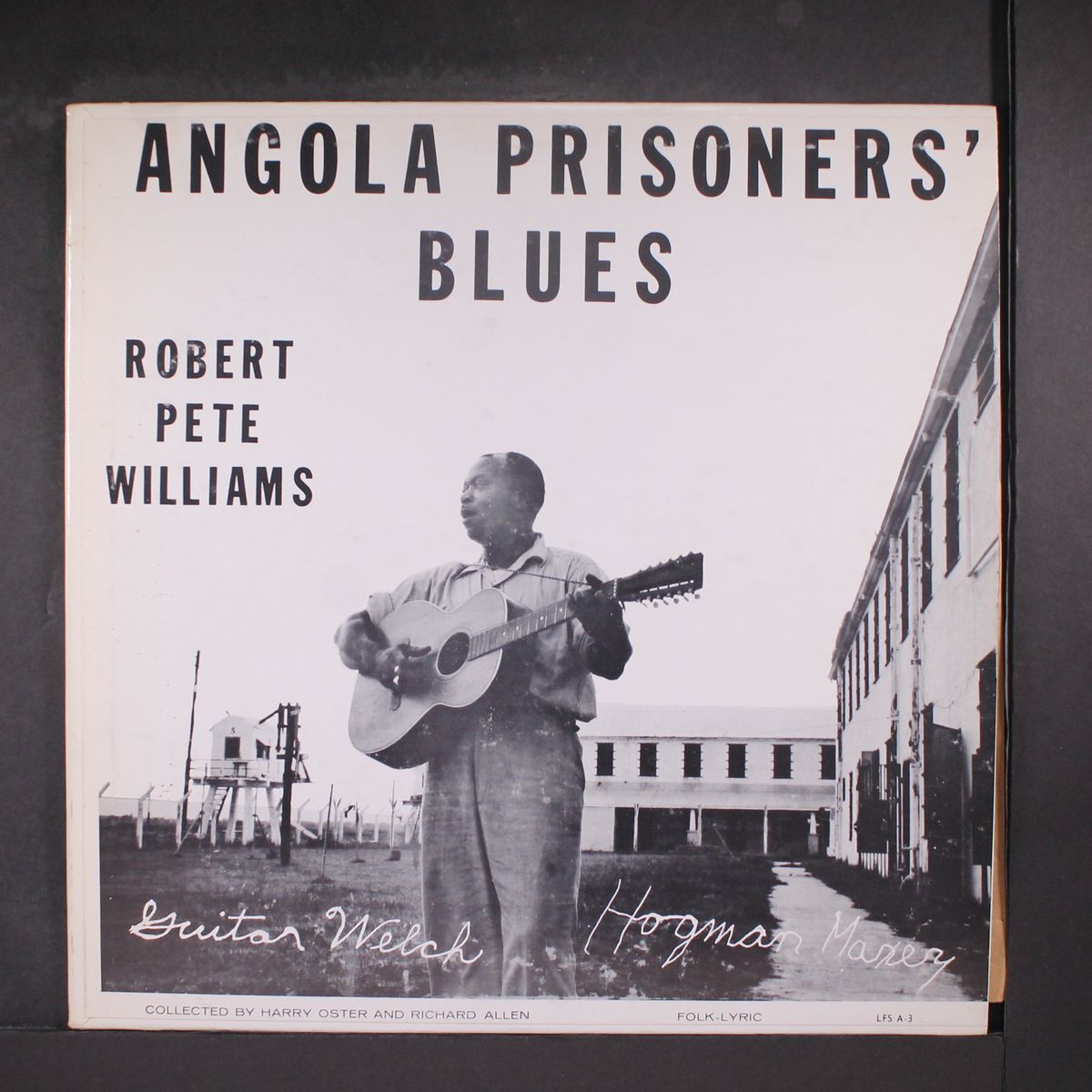 angola prisoner's blues by ROBERT PETE WILLIAMS