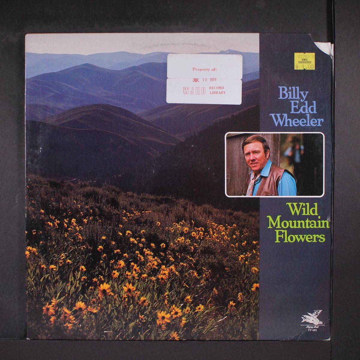 wild mountain flowers by BILLY EDD WHEELER