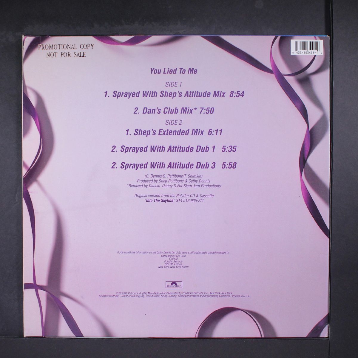 you lied to me by CATHY DENNIS