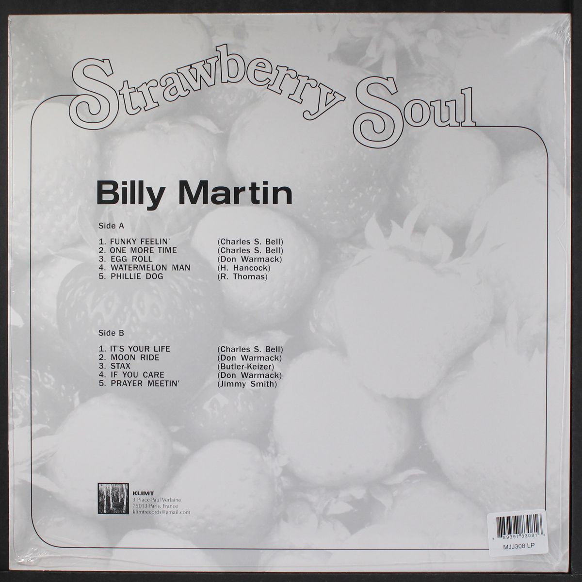 strawberry soul by BILLY MARTIN
