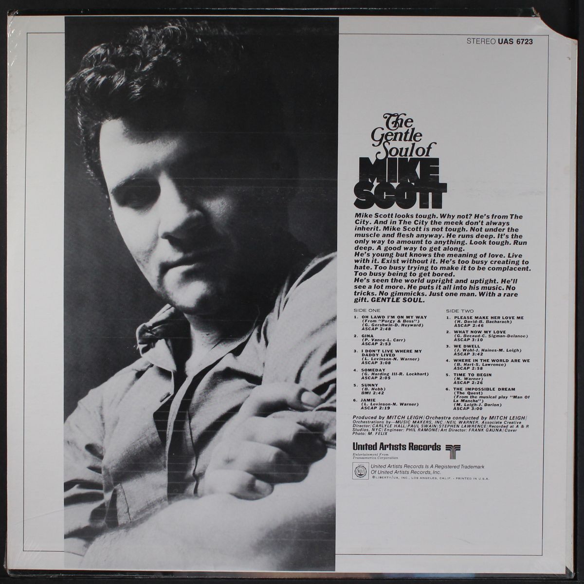 the gentle soul of mike scott by MIKE SCOTT