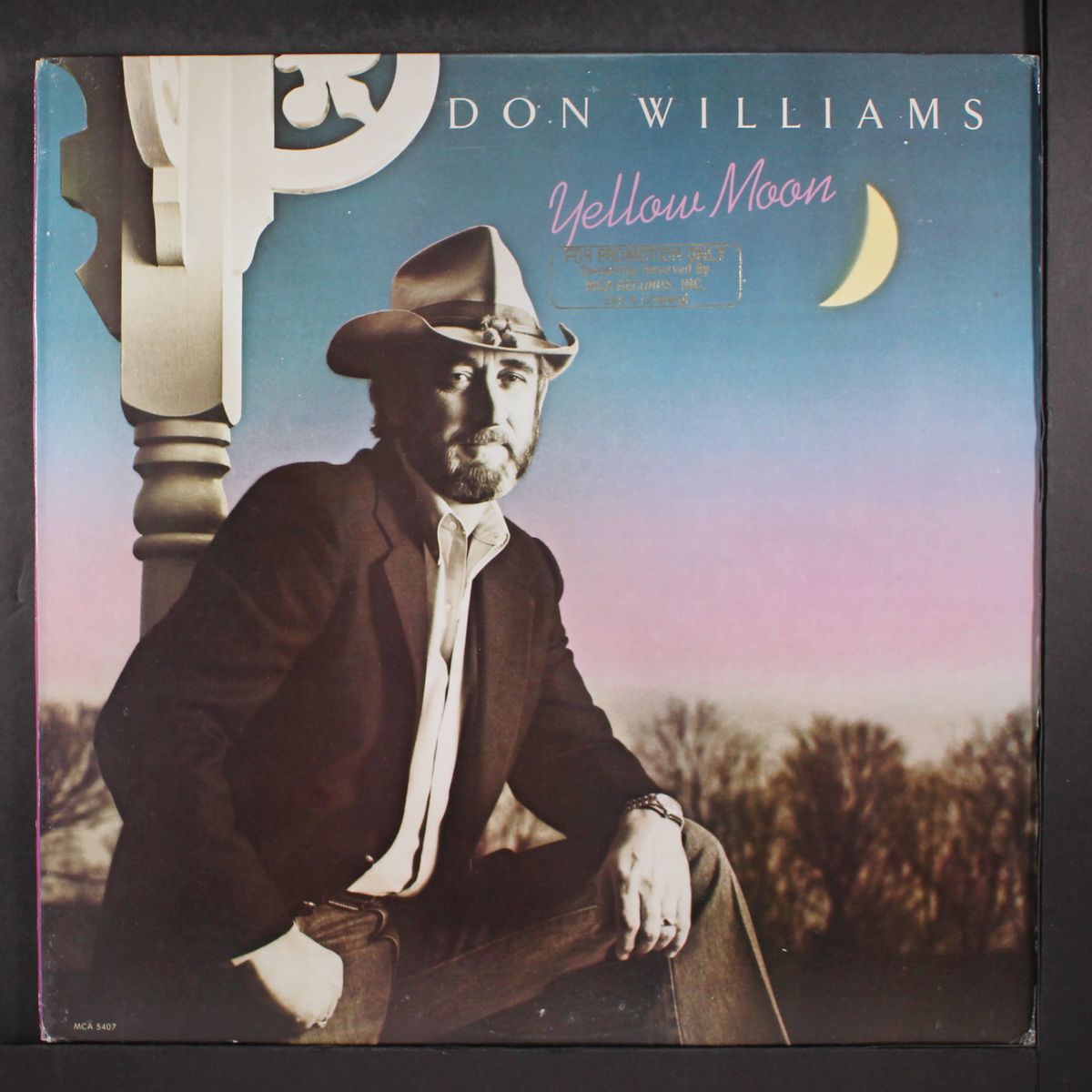 yellow moon by DON WILLIAMS