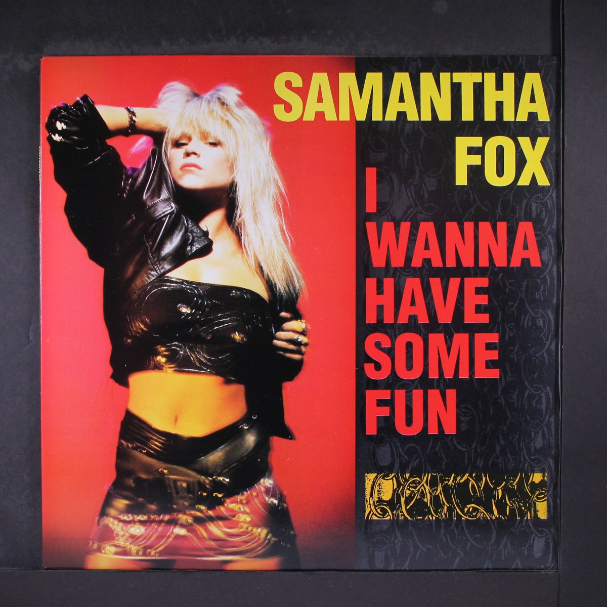 i wanna have some fun by SAMANTHA FOX