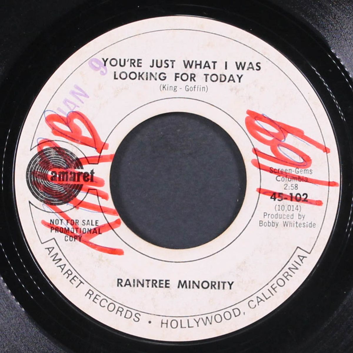 you're just what i was looking for today / come out come out by RAINTREE MINORITY