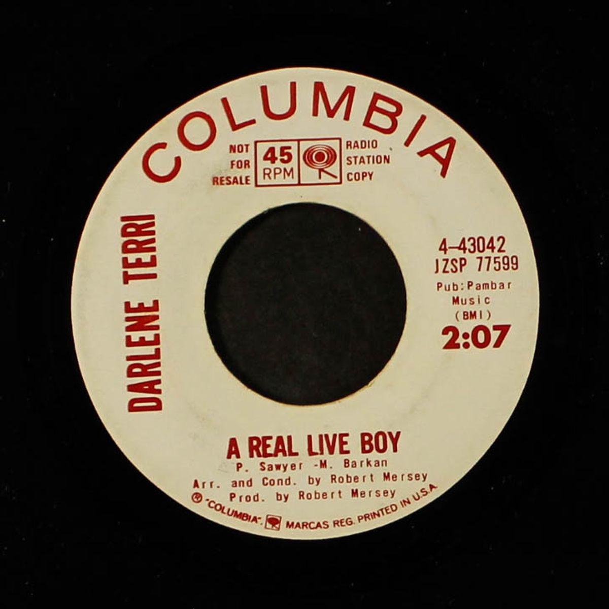ringo ringo / a real live boy by DARLENE TERRI