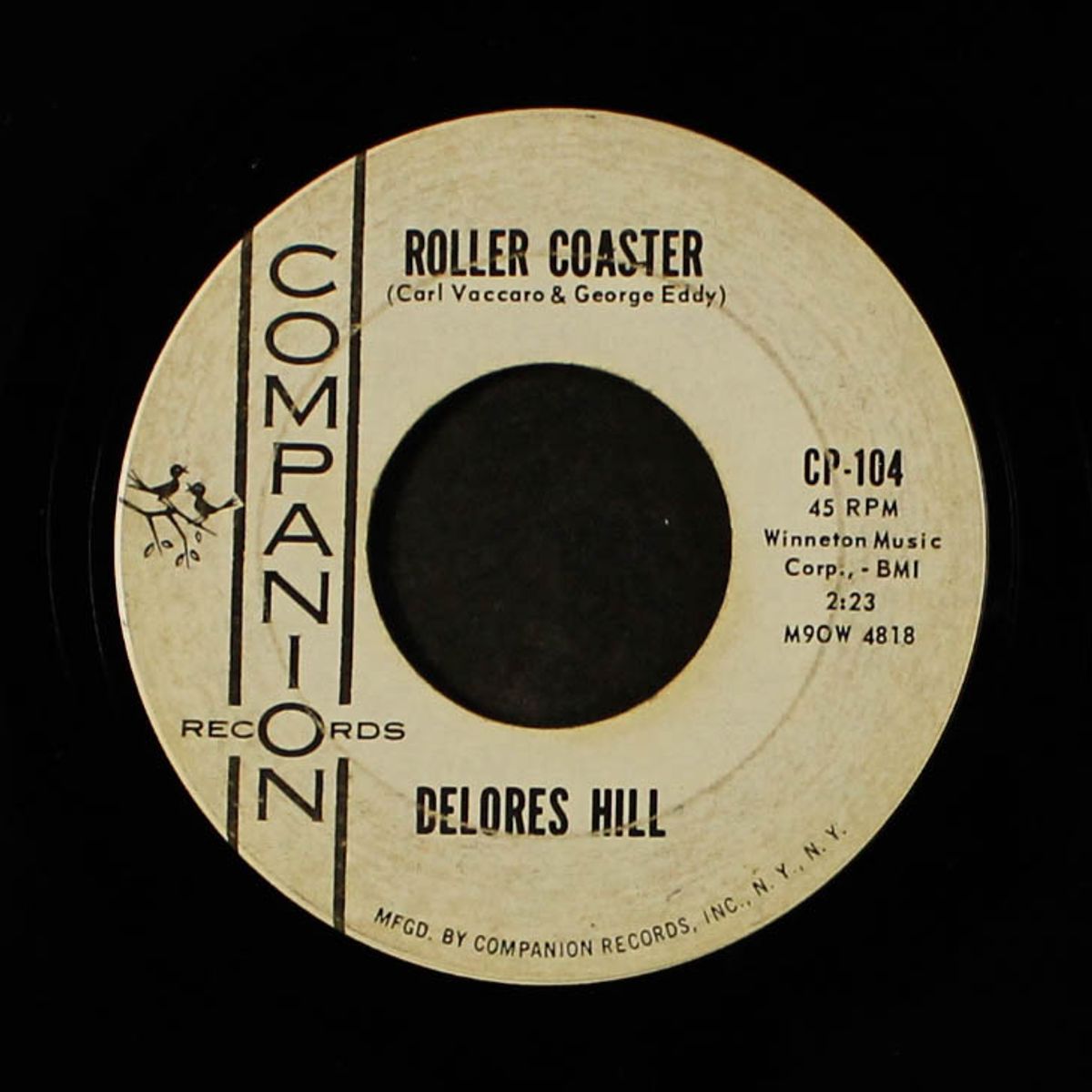 i couldn't believe my eyes / roller coaster by DELORES HILL