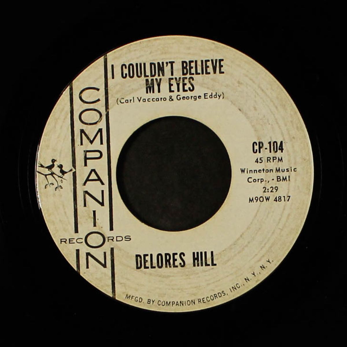 i couldn't believe my eyes / roller coaster by DELORES HILL