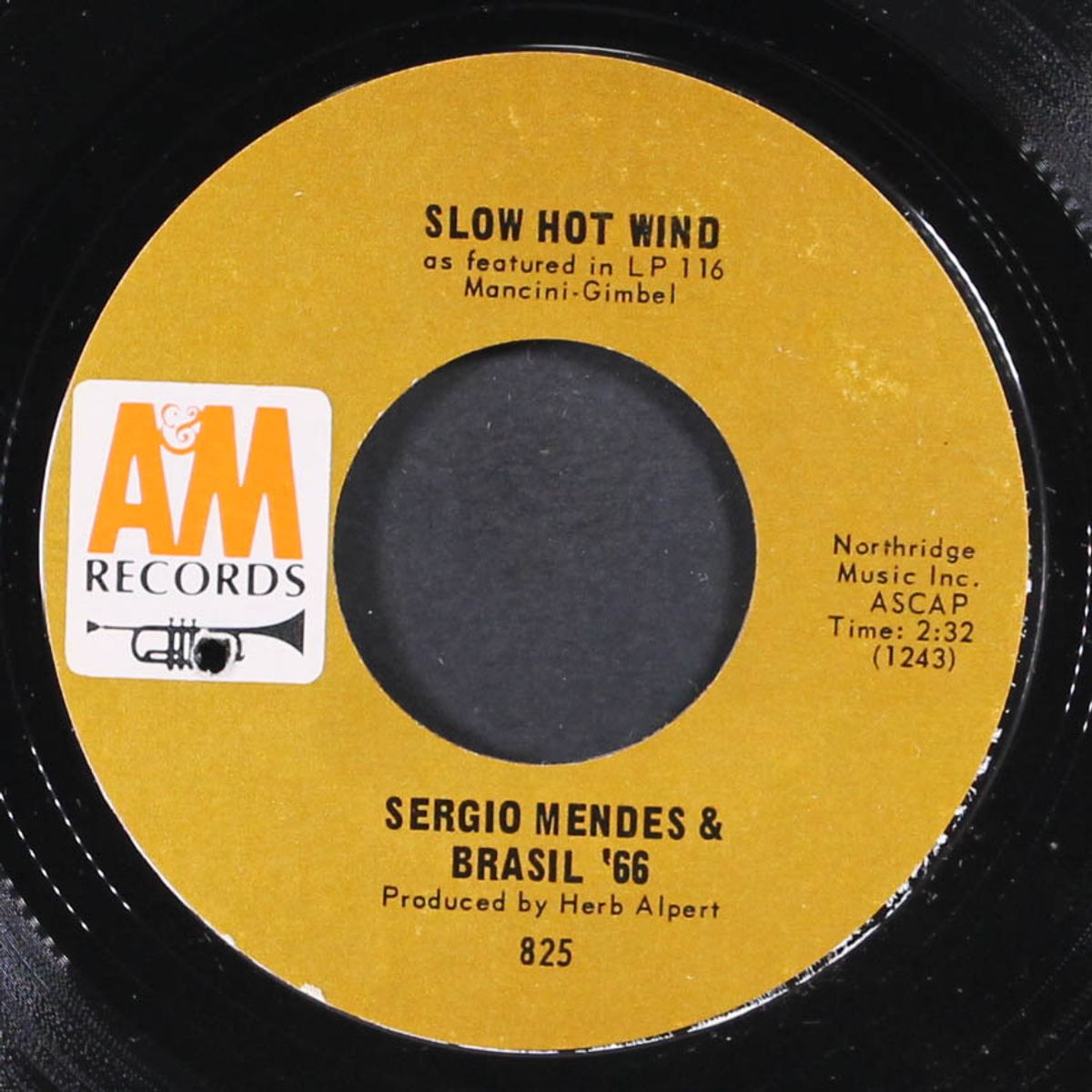 constant rain / slow hot wind by SERGIO MENDES