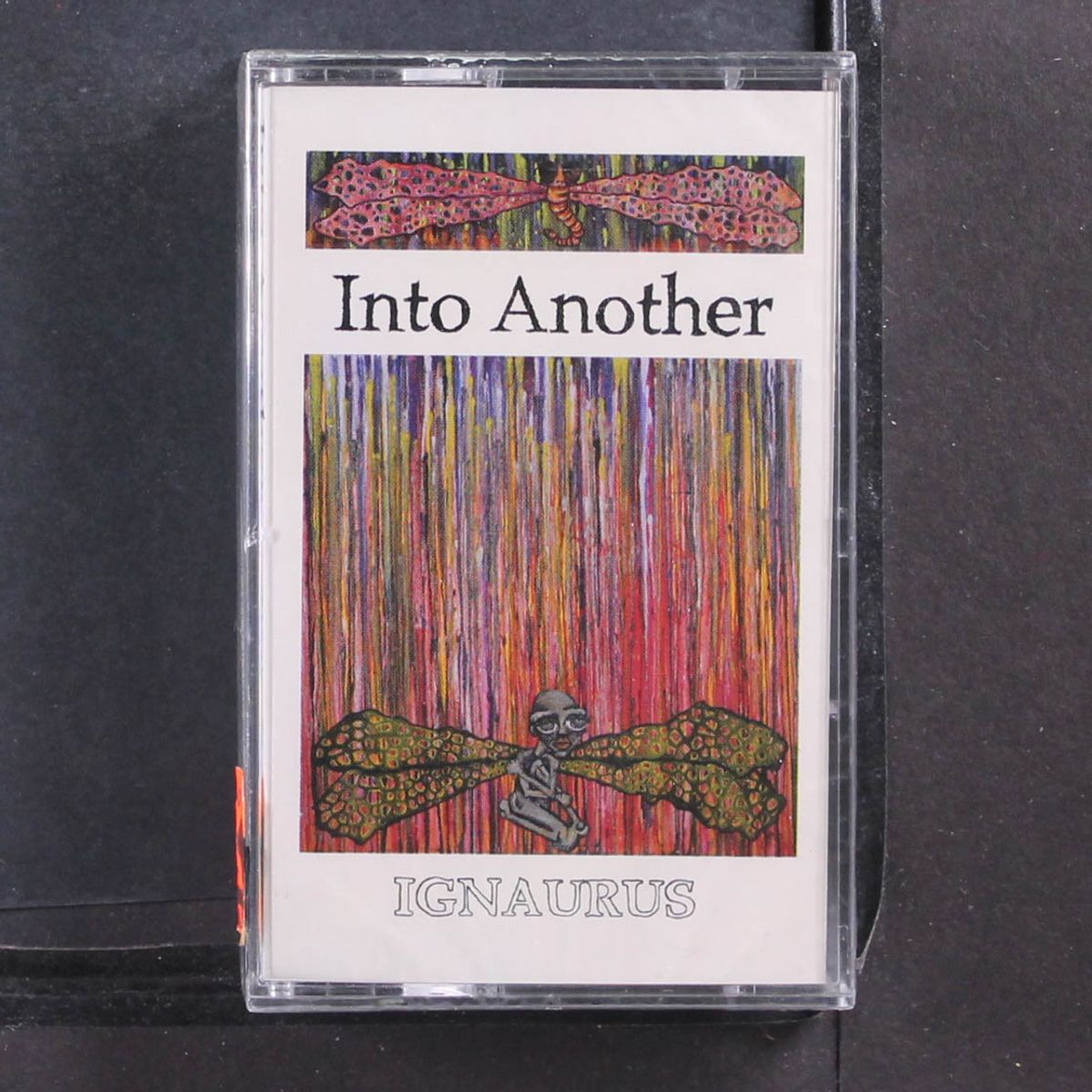 ignaurus by INTO ANOTHER