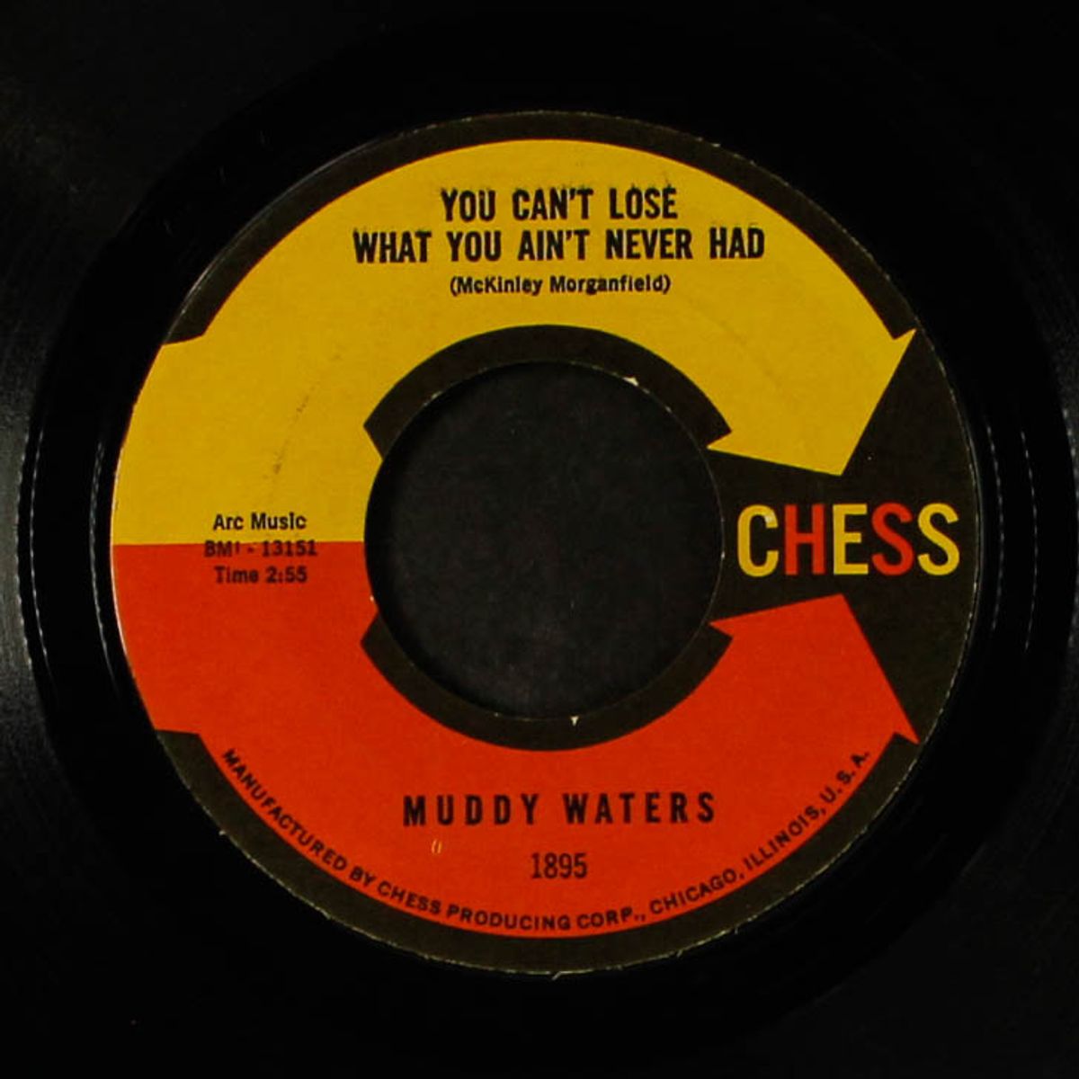 the same thing / you can't lose what you ain't never had by MUDDY WATERS