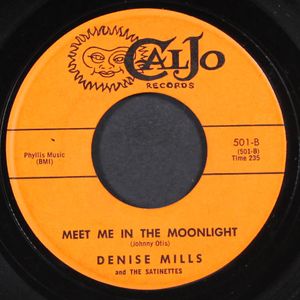 DENISE MILLS & SATINETTES