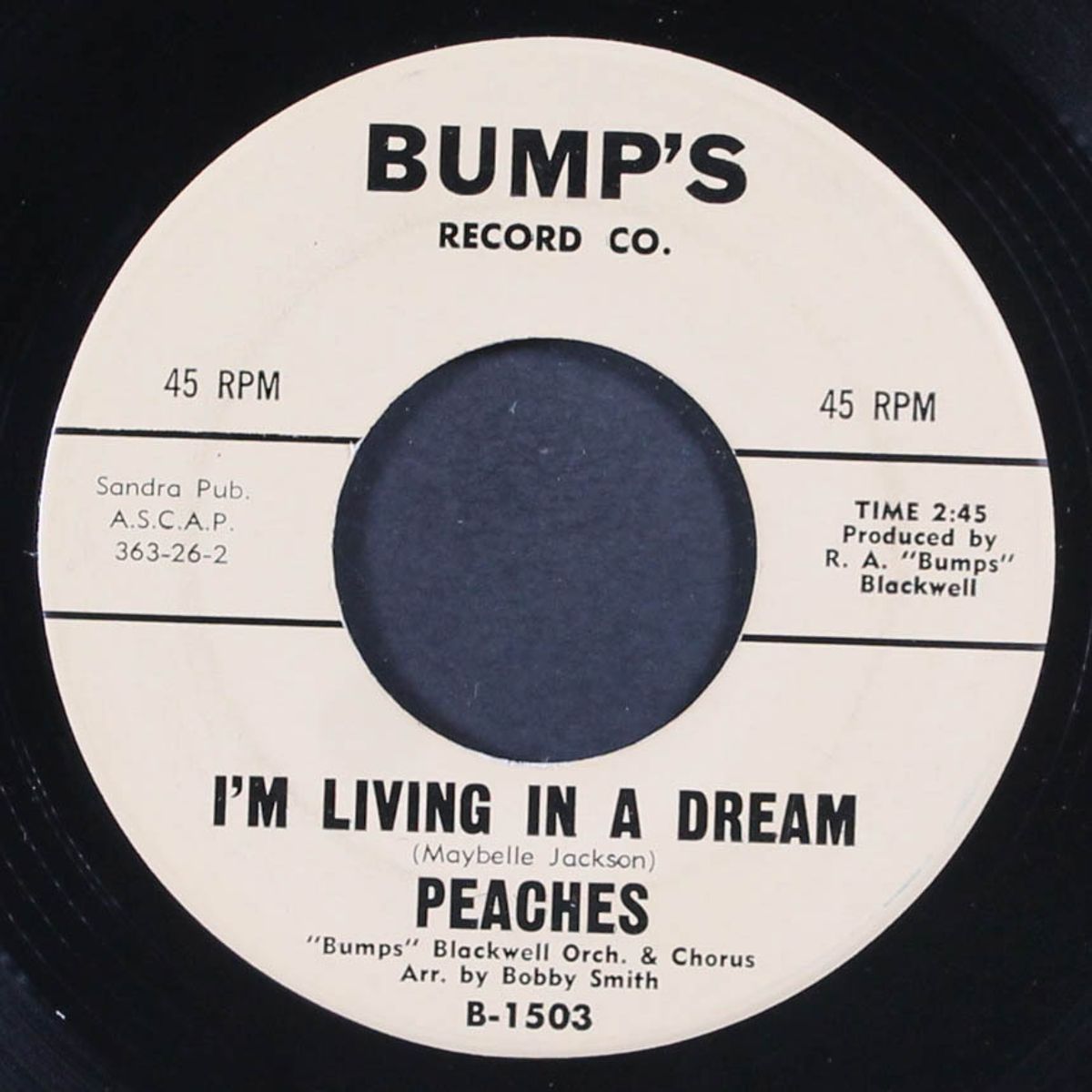 please don't take my man / i'm living in a dream by PEACHES