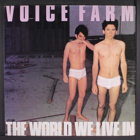 VOICE FARM