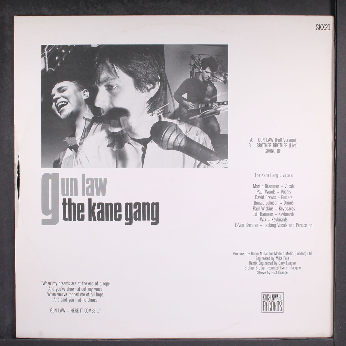 gun law by KANE GANG