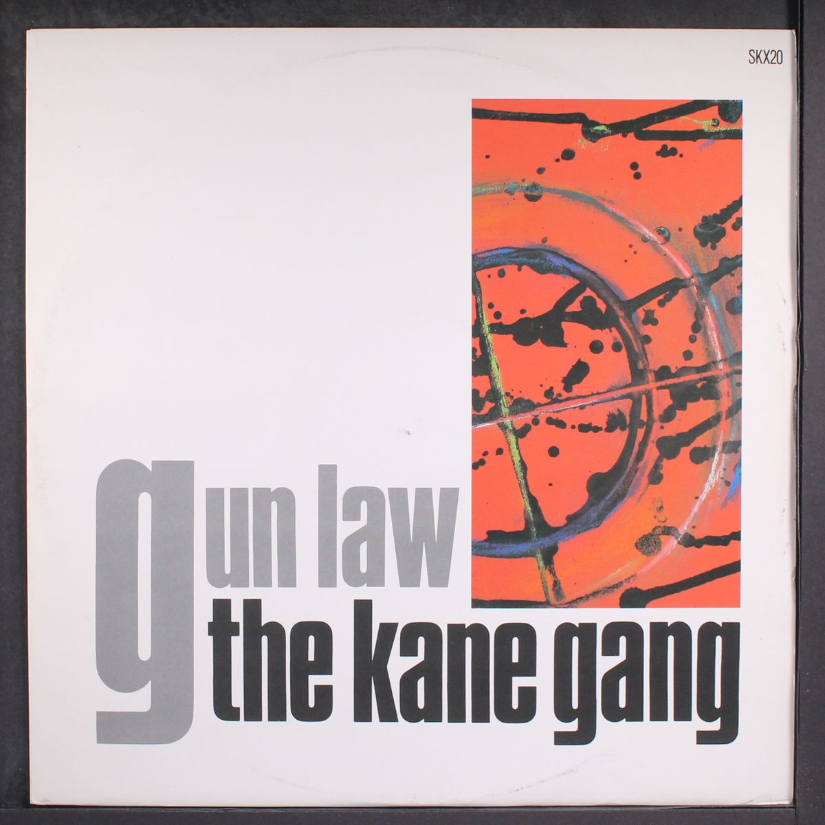 gun law by KANE GANG