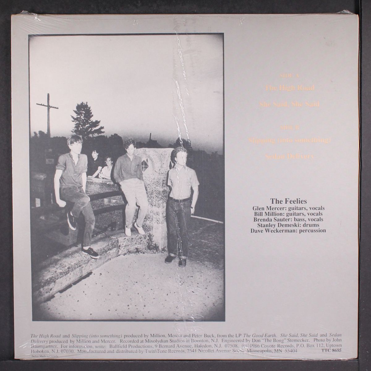 no one knows by FEELIES