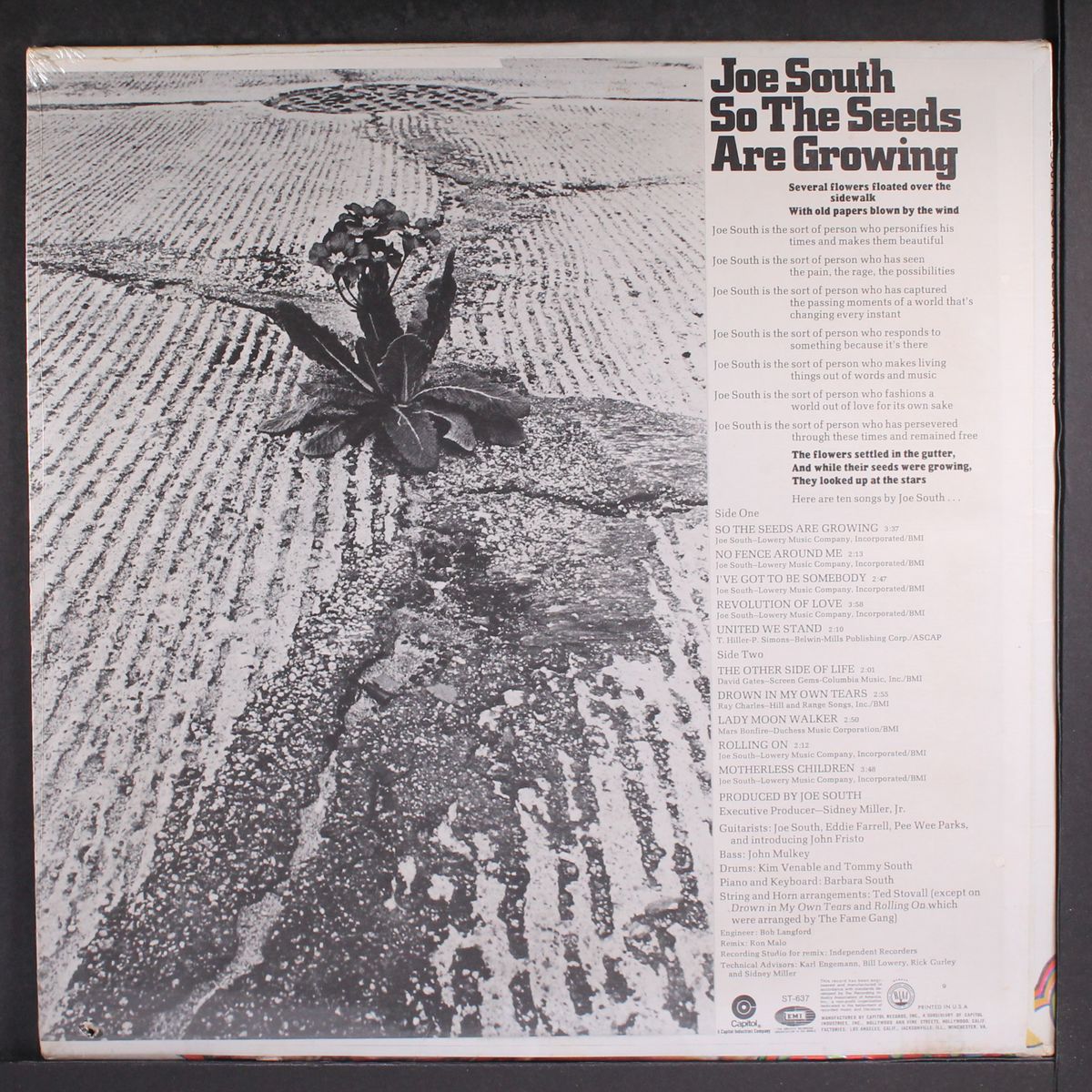 so the seeds are growing by JOE SOUTH