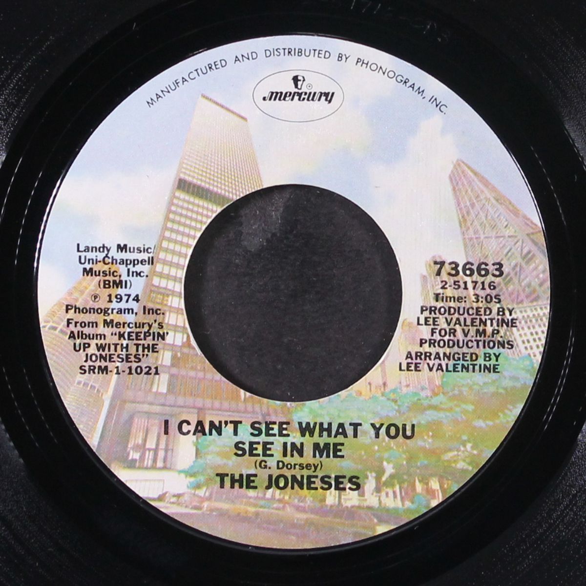 i can't see what you see in me / our love song by JONESES