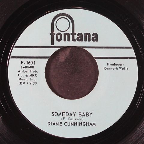 DIANE CUNNINGHAM