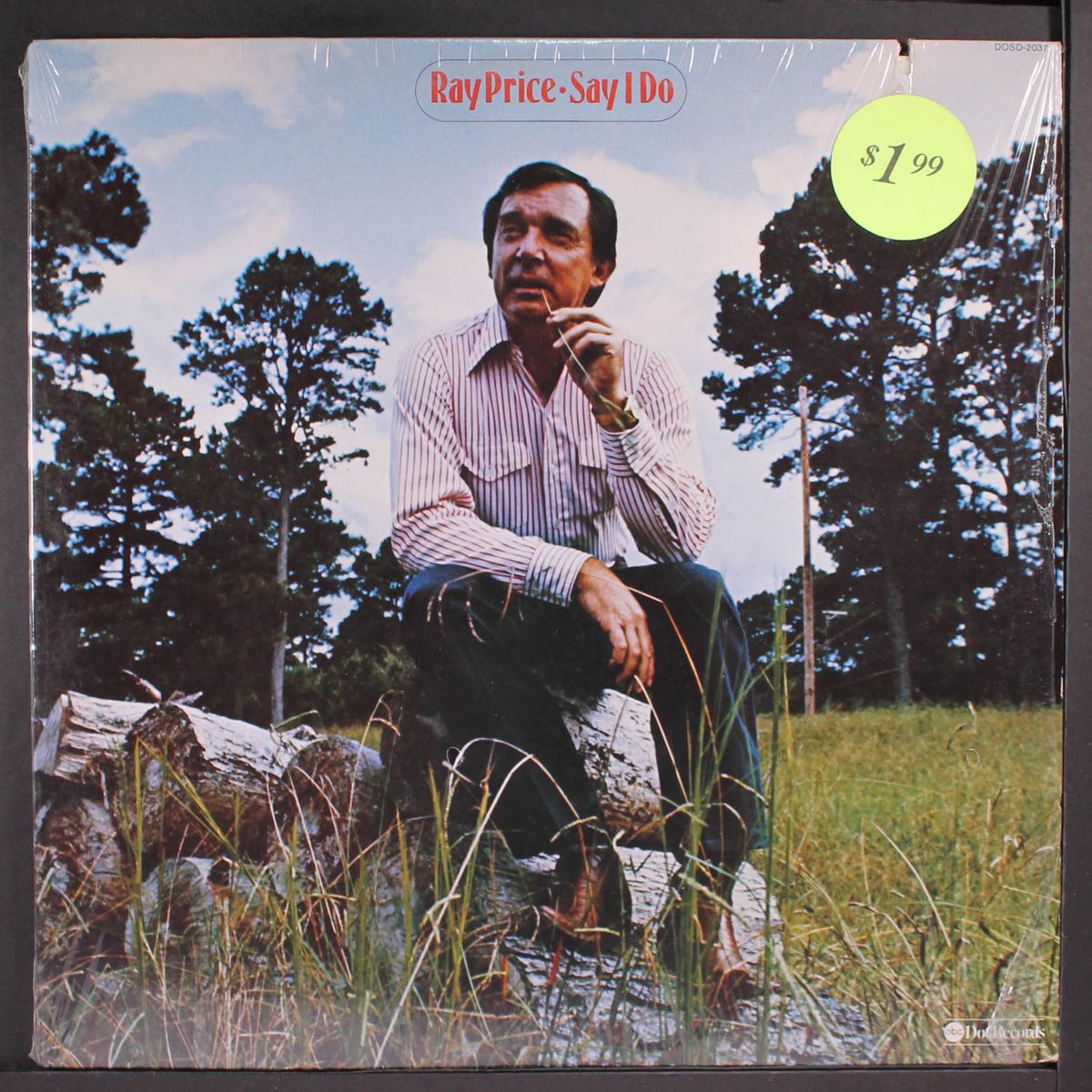 say i do by RAY PRICE