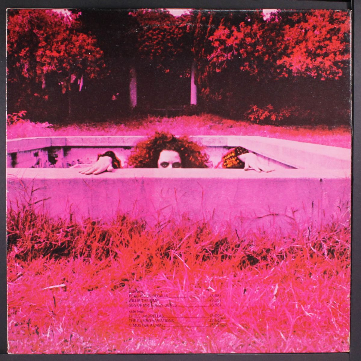 hot rats by FRANK ZAPPA
