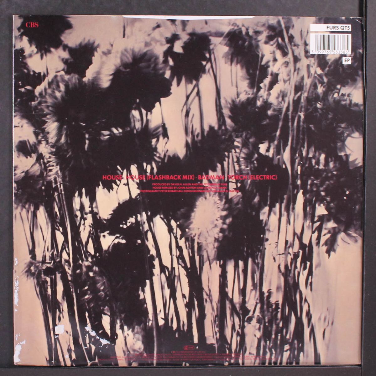 house by PSYCHEDELIC FURS