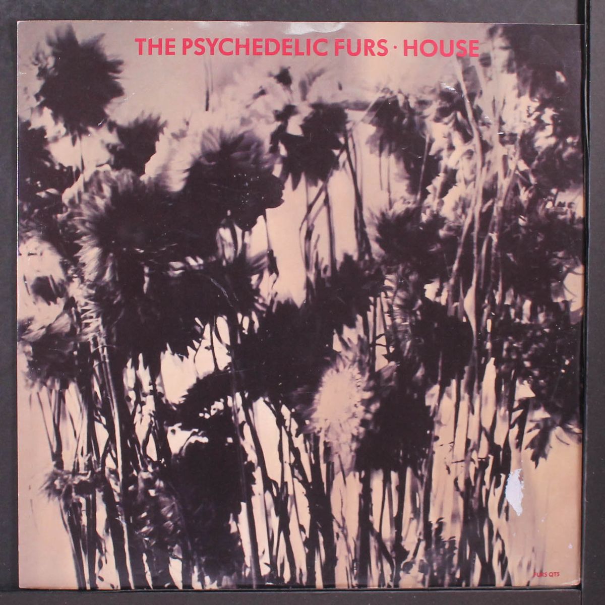 house by PSYCHEDELIC FURS