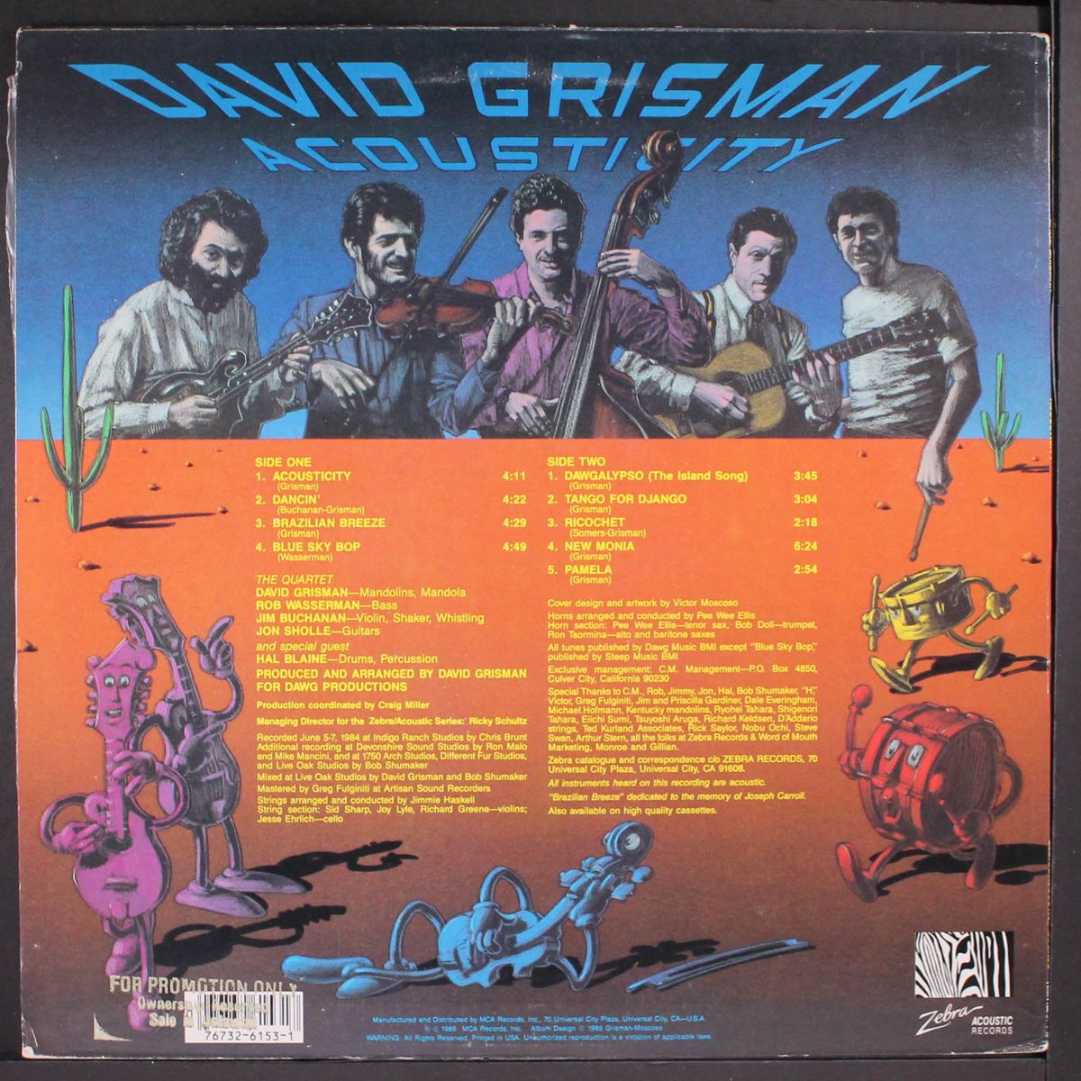 acousticity by DAVID GRISMAN