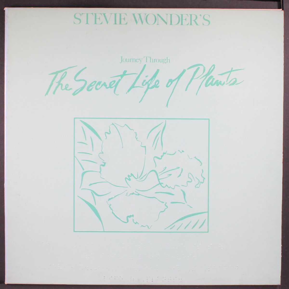 the secret life of plants by STEVIE WONDER