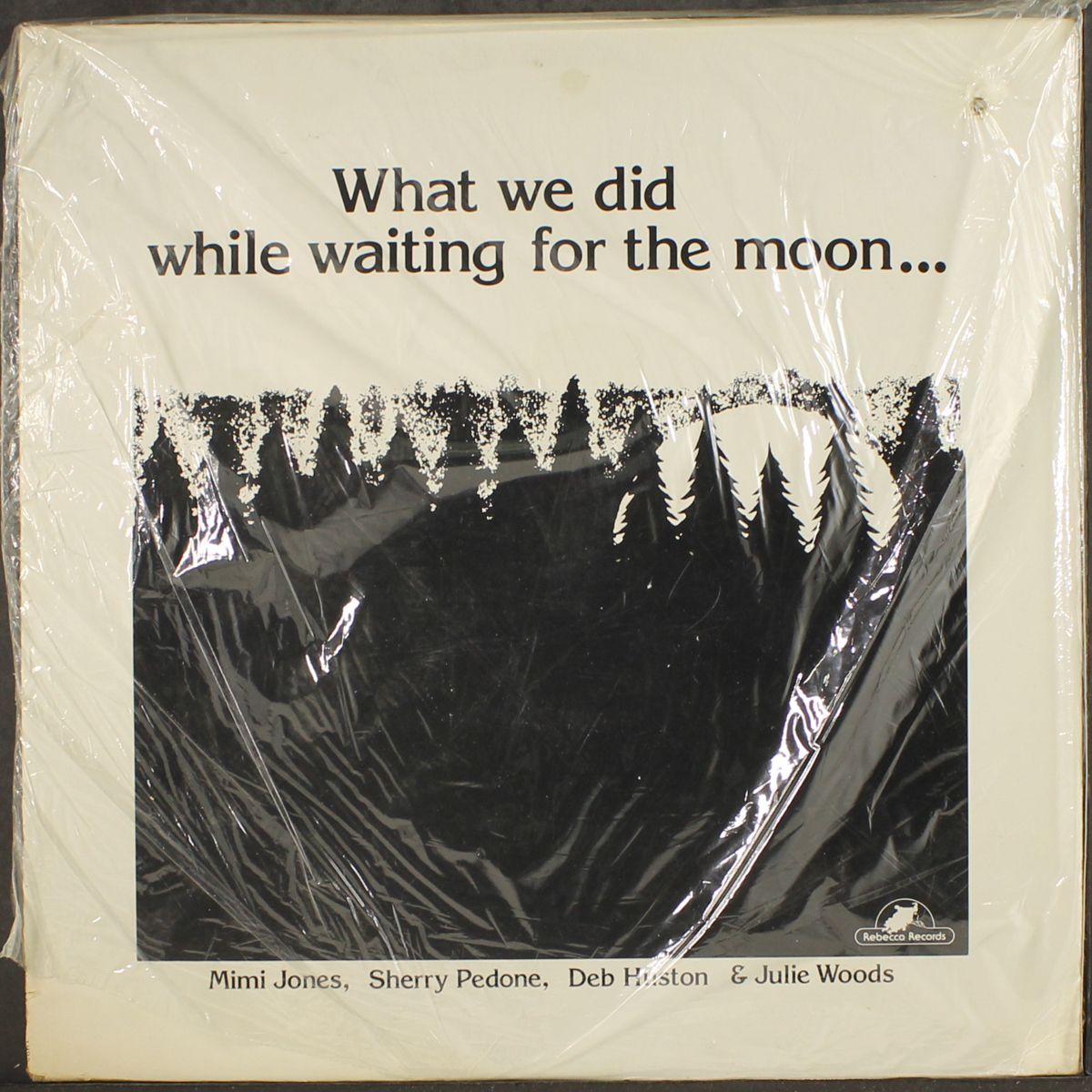 what we did while waiting for the moon by VARIOUS