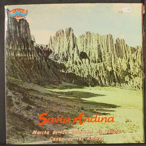 SAVIA ANDINA