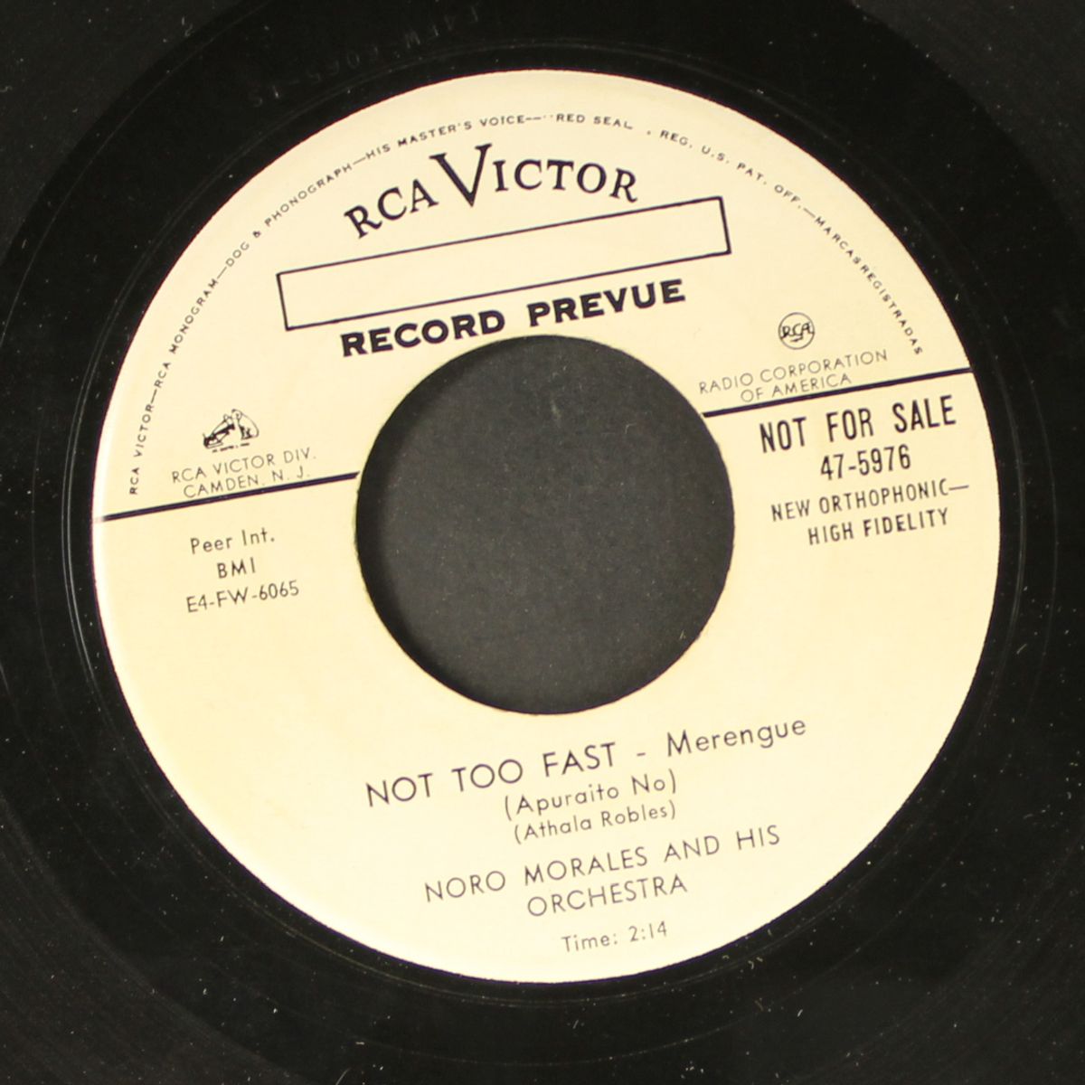 not too fast / semilo by NORO MORALES