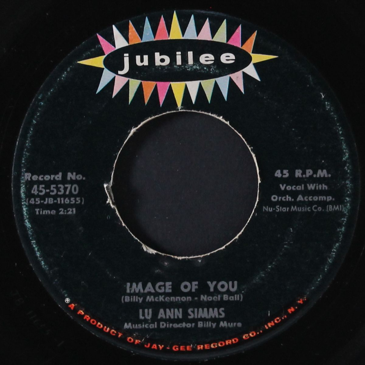 image of you / blue jay by LU ANN SIMMS
