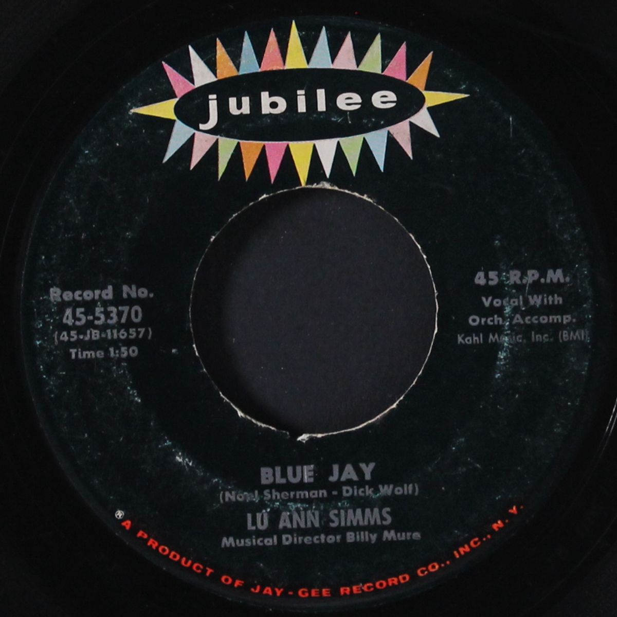 image of you / blue jay by LU ANN SIMMS