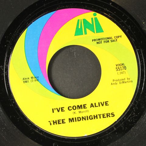 THEE MIDNIGHTERS