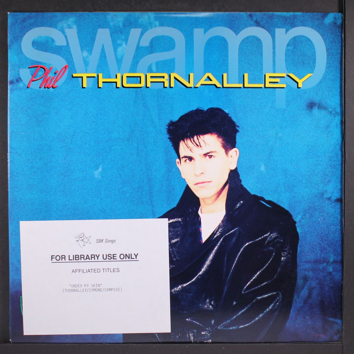 swamp by PHIL THORNALLEY