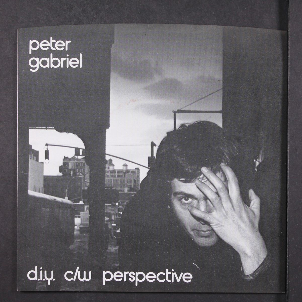 d.i.y. by PETER GABRIEL
