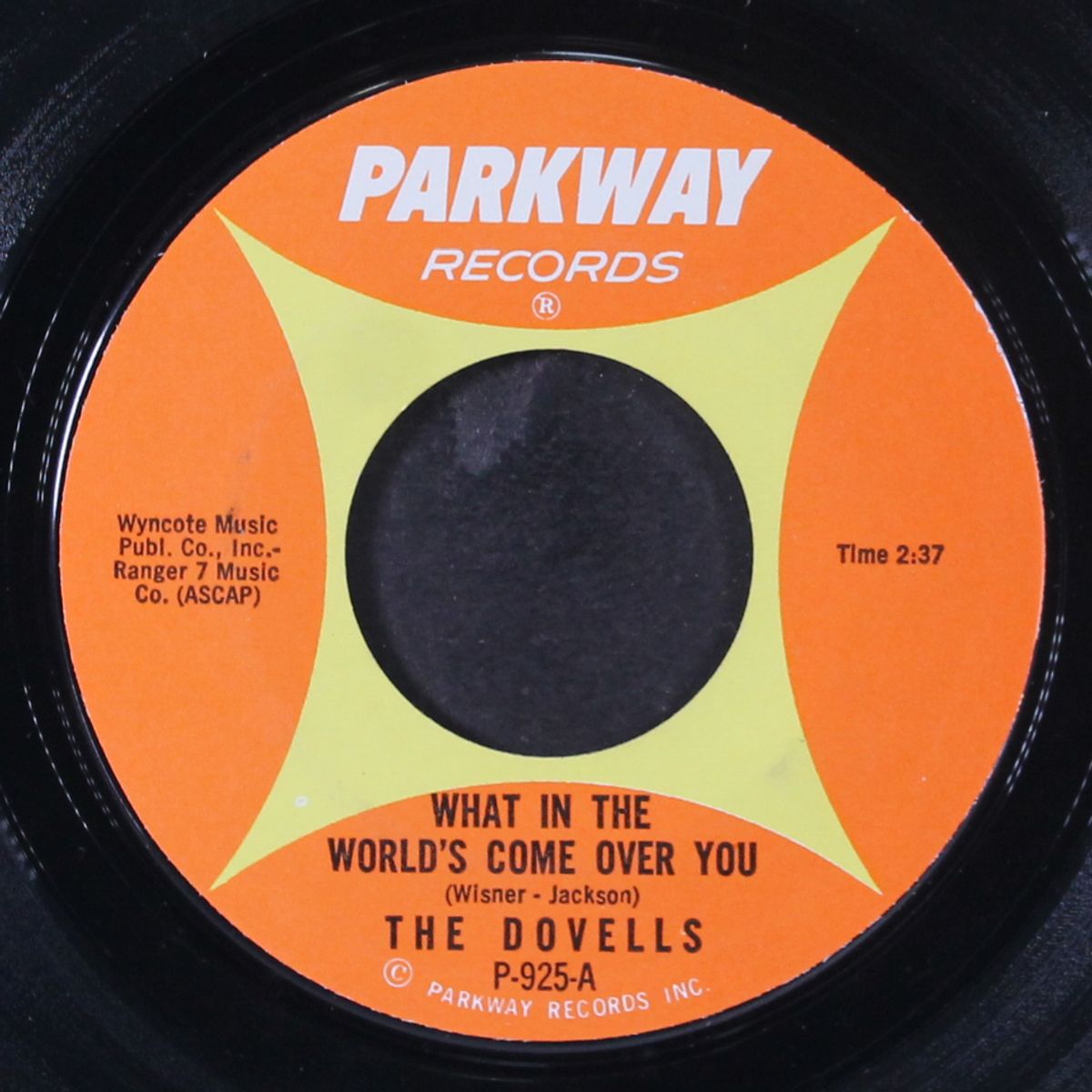 what in the world's come over you / watusi with lucy by DOVELLS