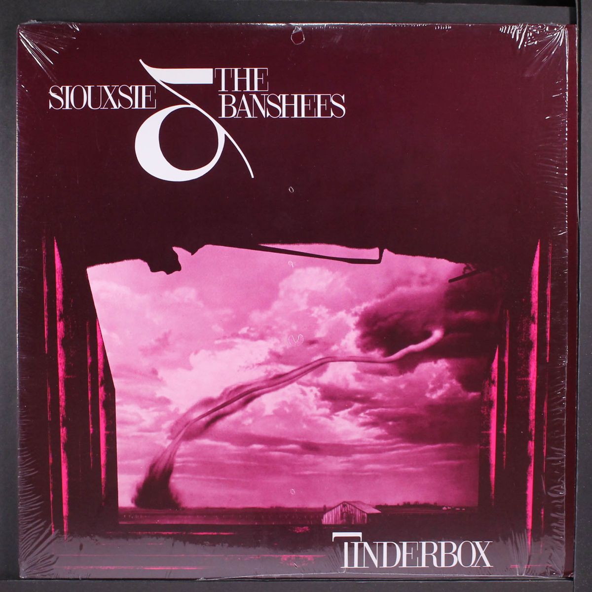 tinderbox by SIOUXSIE & BANSHEES
