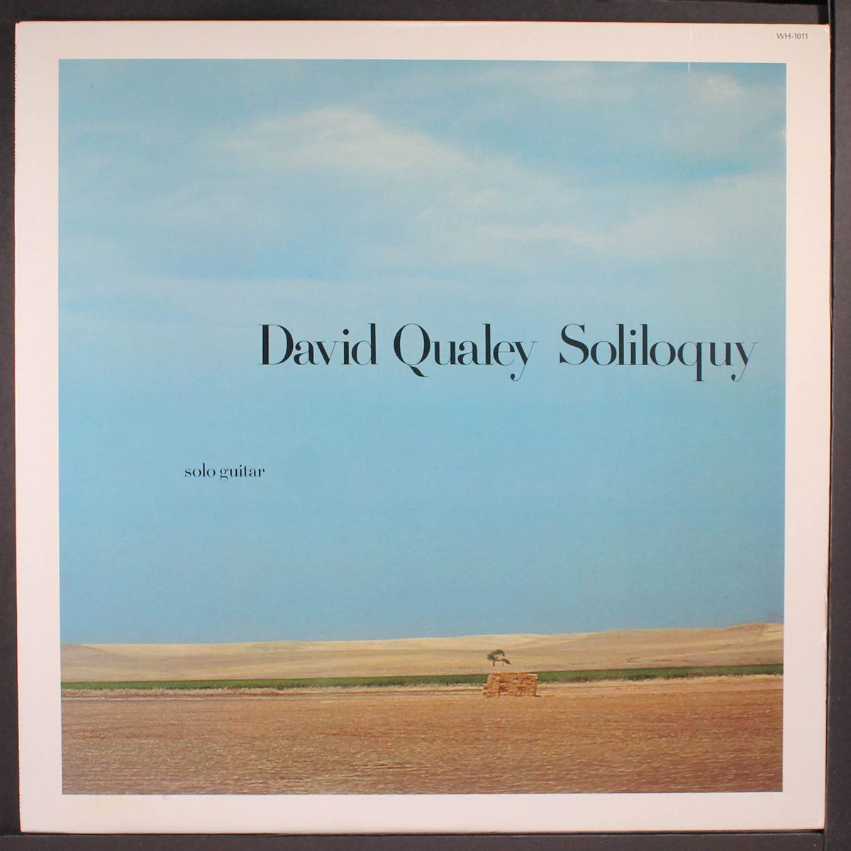 soliloquy by DAVID QUALEY