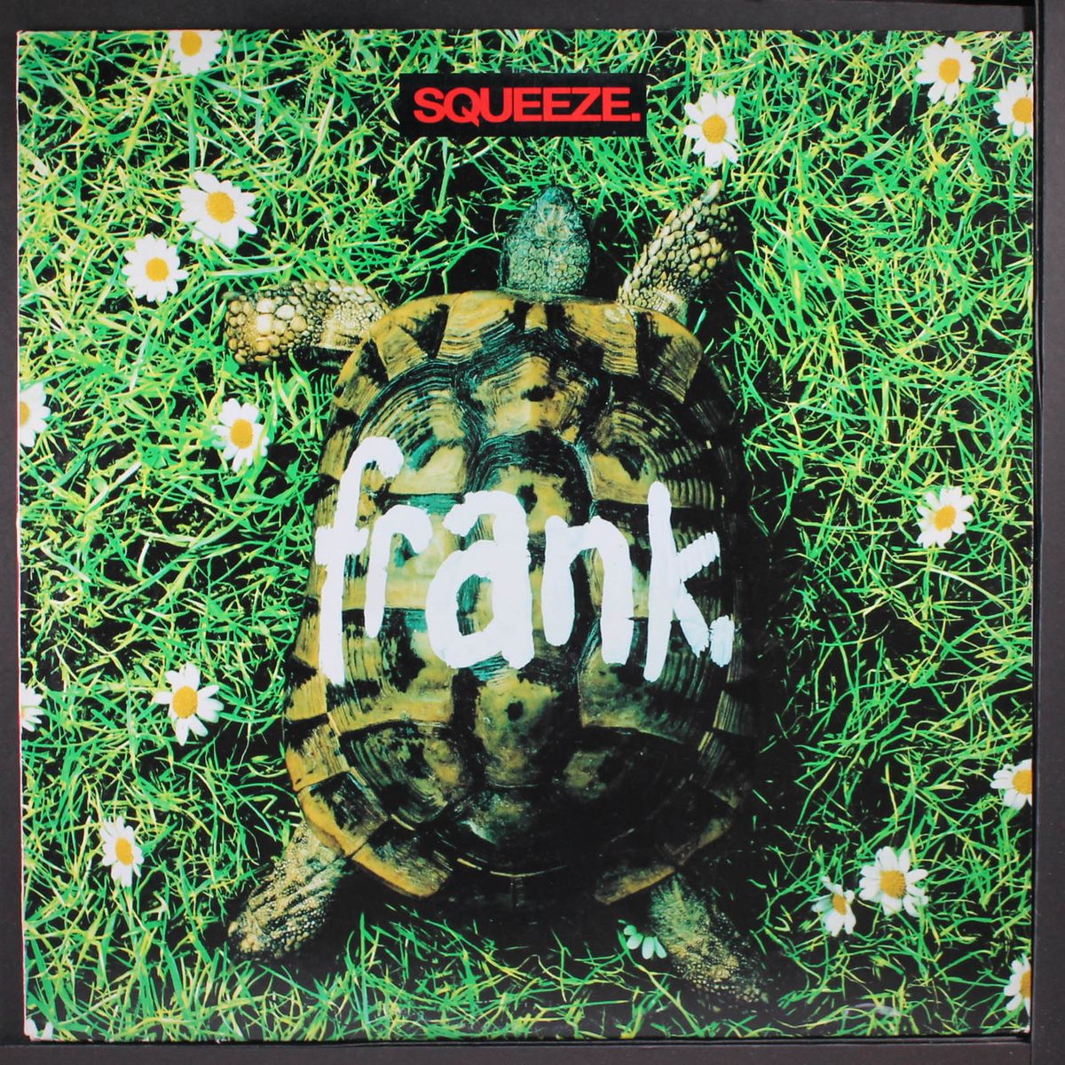 frank by SQUEEZE