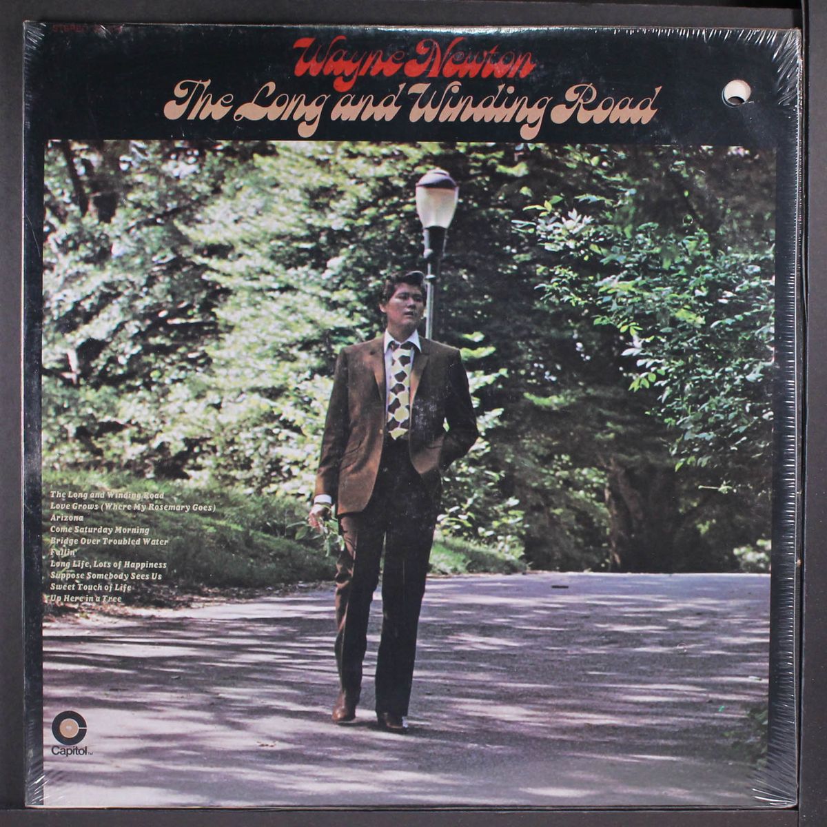 the long and winding road by WAYNE NEWTON