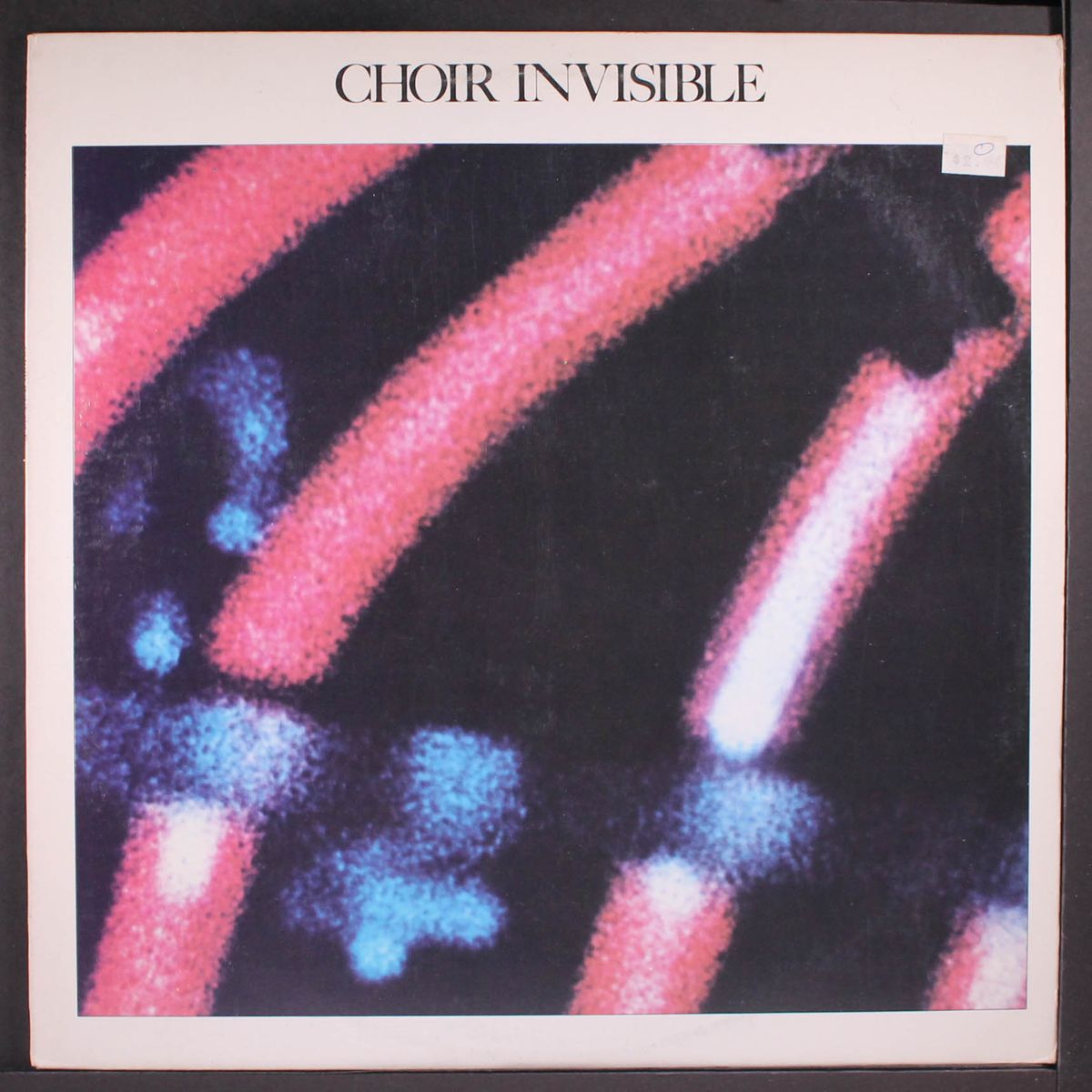 choir invisible by CHOIR INVISIBLE