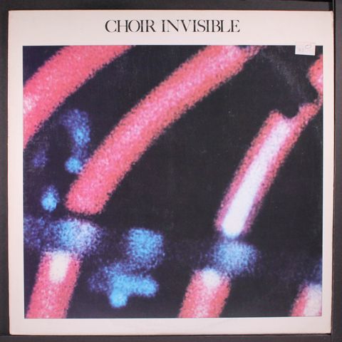 CHOIR INVISIBLE