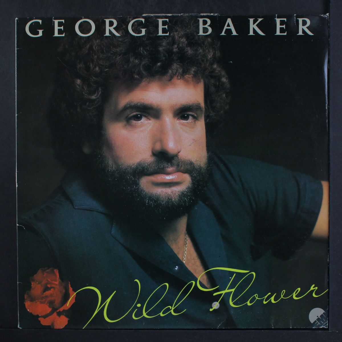 wild flower by GEORGE BAKER