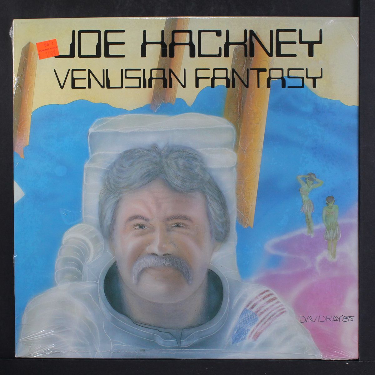 venusian fantasy by JOE HACKNEY