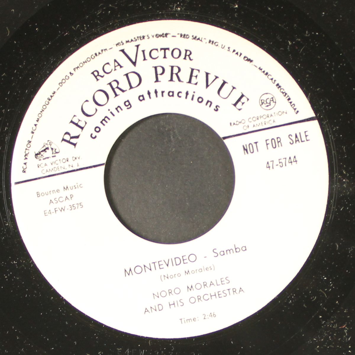 tropical / montevideo by NORO MORALES