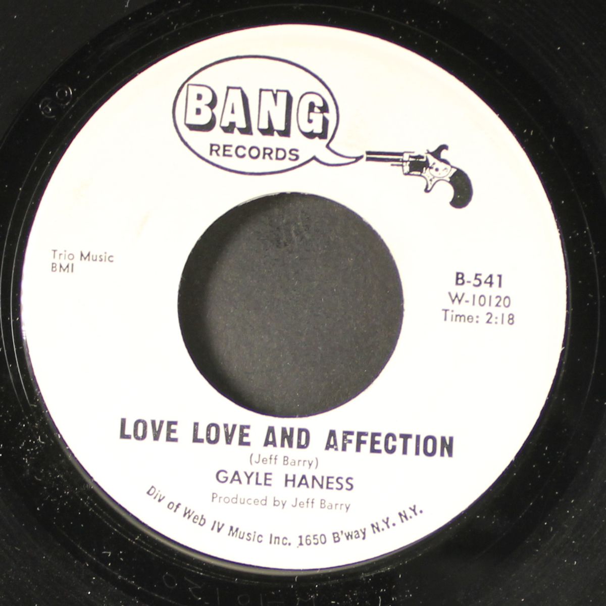 i've never gotten over you / love love and affection by GAYLE HANESS