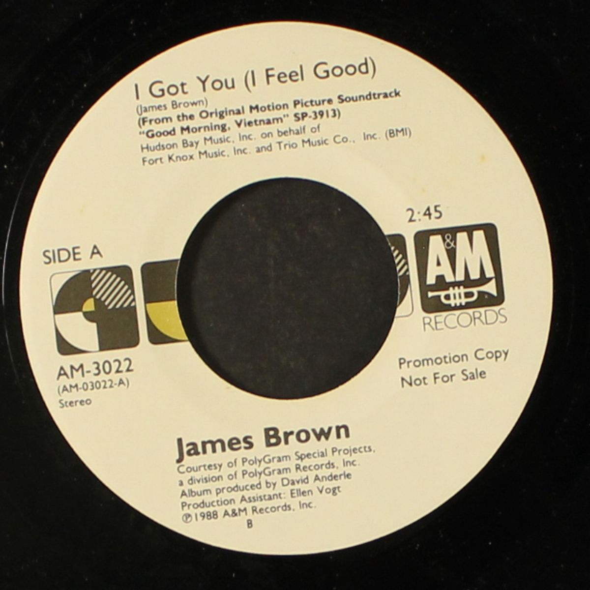 i got you by JAMES BROWN