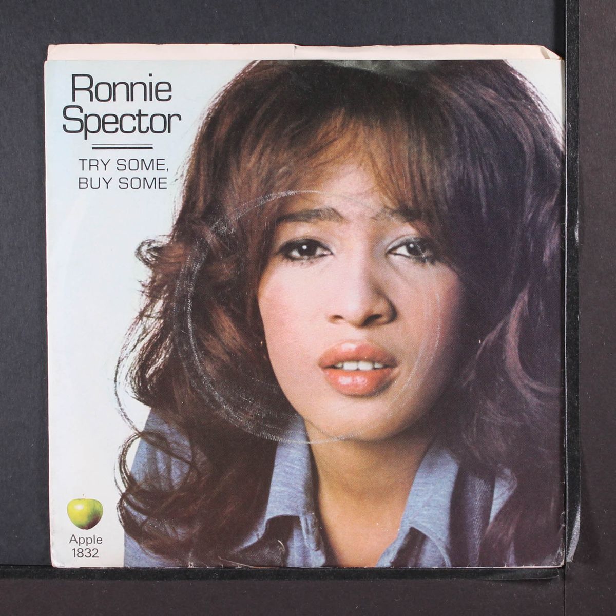 try some, buy some / tandoori chicken by RONNIE SPECTOR